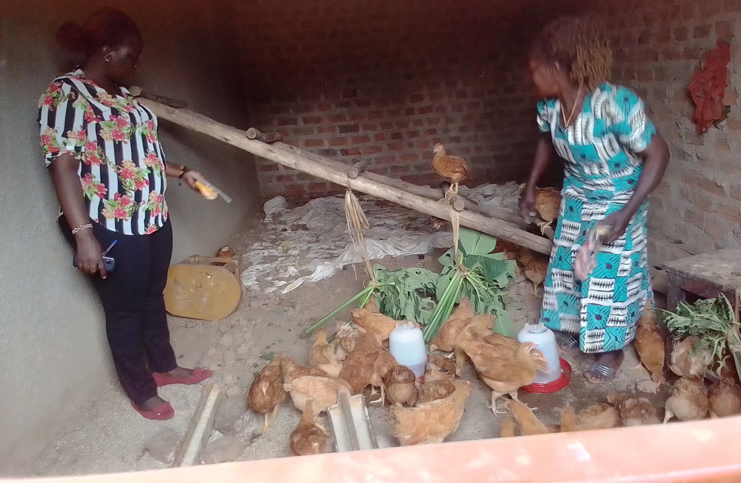 Economic Empowerment